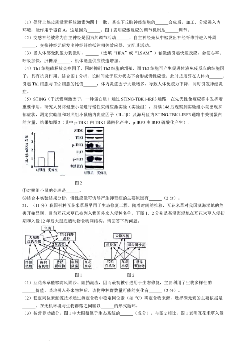 2024届江苏省南通市模拟预测生物试题_2024年5月_01按日期_30号_2024届江苏省南通市高考考前模拟高三练习卷(南通四模)_江苏省南通市2024届高考考前模拟高三练习卷(南通四模)生物试题