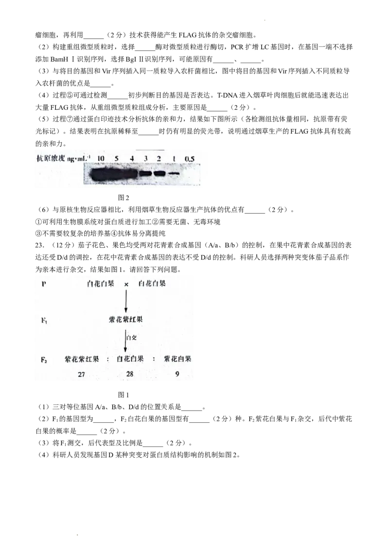 2024届江苏省南通市模拟预测生物试题_2024年5月_01按日期_30号_2024届江苏省南通市高考考前模拟高三练习卷(南通四模)_江苏省南通市2024届高考考前模拟高三练习卷(南通四模)生物试题
