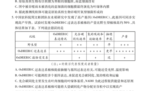 生物_2023年9月_01每日更新_8号_2024届湖北省宜荆荆恩高三9月起点考试_湖北省宜荆荆恩2023-2024学年高三上学期9月起点考试生物试题