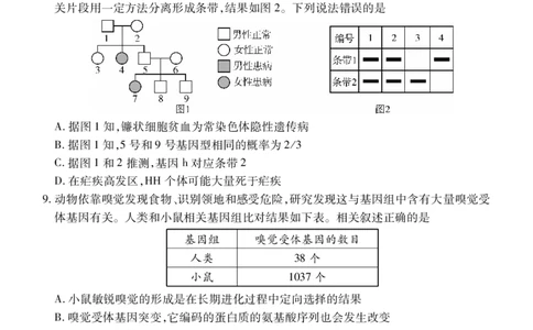 生物_2023年9月_01每日更新_8号_2024届湖北省宜荆荆恩高三9月起点考试_湖北省宜荆荆恩2023-2024学年高三上学期9月起点考试生物试题