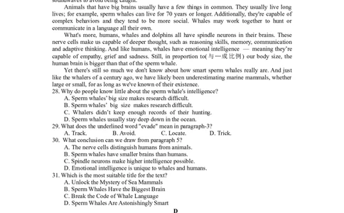 江苏省连云港市部分学校2023-2024学年高三上学期10月联考英语(1)_2023年10月_01每日更新_26号_2024届江苏省连云港市部分学校高三上学期10月联考