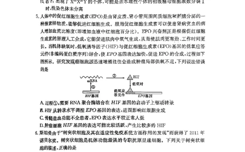 湖南师范大学附属中学2023-2024学年高三上学期月考卷（一）生物(1)_2023年9月_029月合集_2024届湖南师范大学附属中学高三上学期月考卷（一）