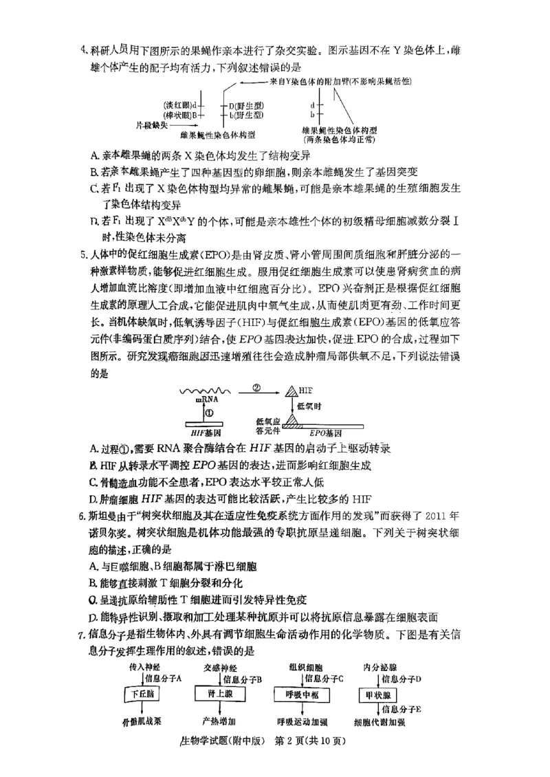 湖南师范大学附属中学2023-2024学年高三上学期月考卷（一）生物(1)_2023年9月_029月合集_2024届湖南师范大学附属中学高三上学期月考卷（一）