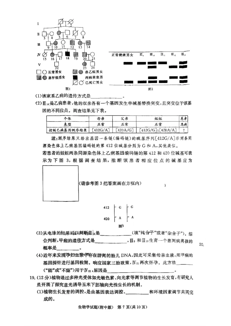 湖南师范大学附属中学2023-2024学年高三上学期月考卷（一）生物(1)_2023年9月_029月合集_2024届湖南师范大学附属中学高三上学期月考卷（一）