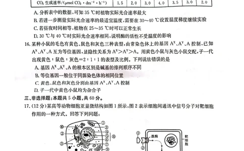 生物试卷_2023年9月_01每日更新_27号_2024届湖南省三湘创新发展联合体高三上学期9月月考_湖南省三湘创新发展联合体2024届高三上学期9月月考生物_生物