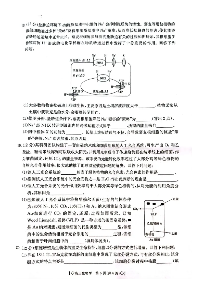 生物试卷_2023年9月_01每日更新_27号_2024届湖南省三湘创新发展联合体高三上学期9月月考_湖南省三湘创新发展联合体2024届高三上学期9月月考生物_生物