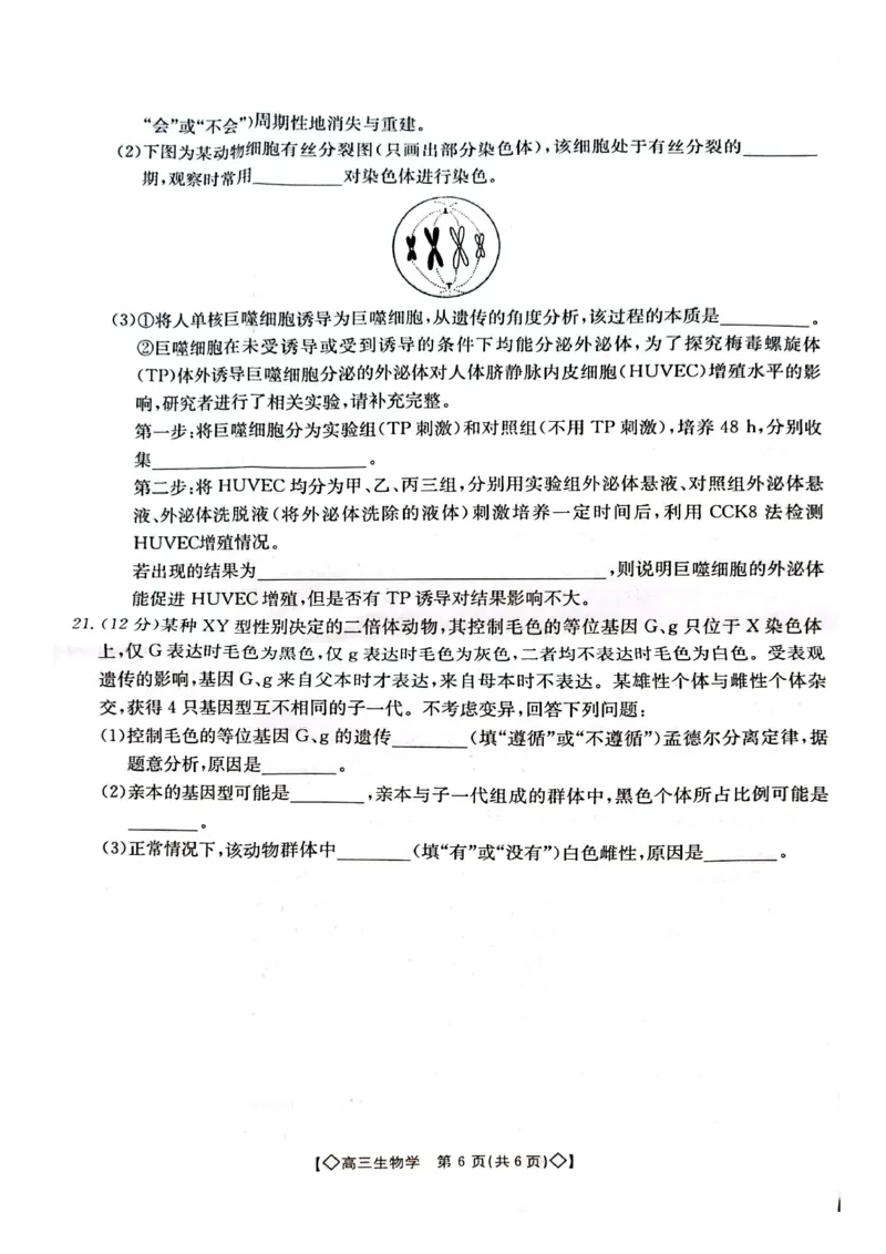 生物试卷_2023年9月_01每日更新_27号_2024届湖南省三湘创新发展联合体高三上学期9月月考_湖南省三湘创新发展联合体2024届高三上学期9月月考生物_生物