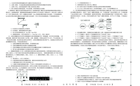 生物(1)_2023年10月_0210月合集_2024届山东中昇高三上学期10月大联考_山东中昇2024届高三上学期10月大联考生物