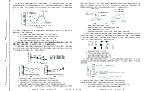 生物(1)_2023年10月_0210月合集_2024届山东中昇高三上学期10月大联考_山东中昇2024届高三上学期10月大联考生物