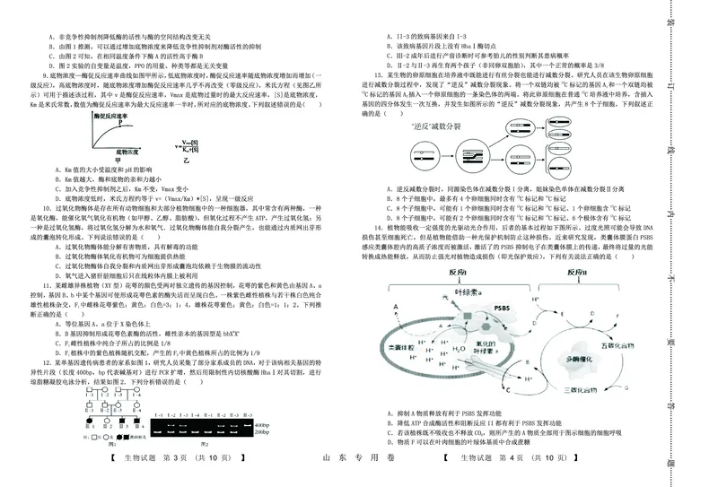 生物(1)_2023年10月_0210月合集_2024届山东中昇高三上学期10月大联考_山东中昇2024届高三上学期10月大联考生物