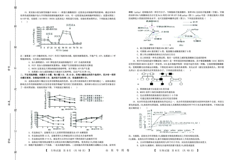生物(1)_2023年10月_0210月合集_2024届山东中昇高三上学期10月大联考_山东中昇2024届高三上学期10月大联考生物
