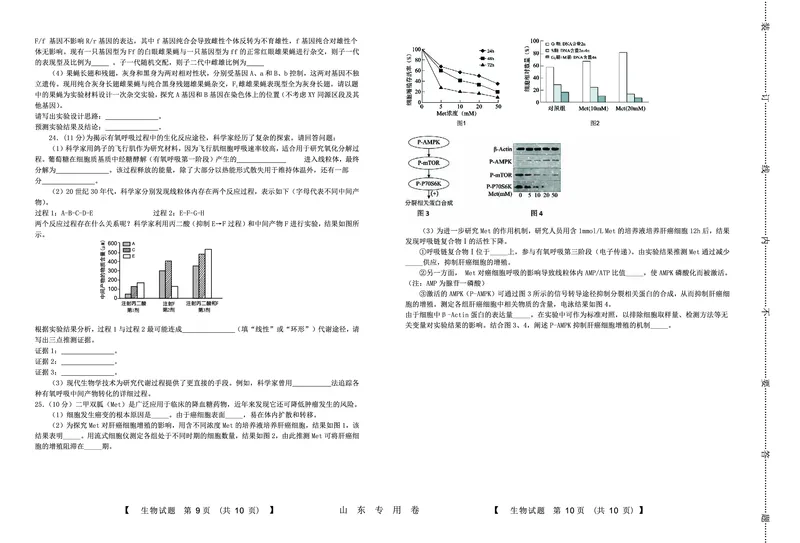 生物(1)_2023年10月_0210月合集_2024届山东中昇高三上学期10月大联考_山东中昇2024届高三上学期10月大联考生物