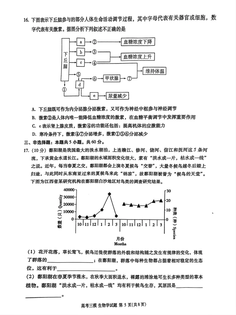 2024届江西省九江市高三下学期第三次模拟考试生物试题_2024年5月_01按日期_21号_2024届江西省九江市高三下学期第三次模拟考试_2024届江西省九江市高三下学期第三次模拟考试生物试题