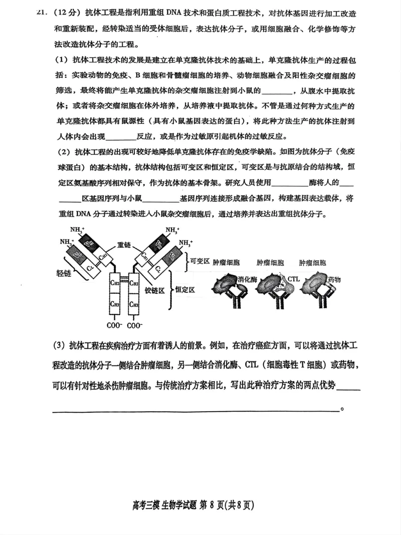 2024届江西省九江市高三下学期第三次模拟考试生物试题_2024年5月_01按日期_21号_2024届江西省九江市高三下学期第三次模拟考试_2024届江西省九江市高三下学期第三次模拟考试生物试题