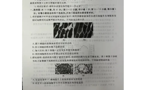2024届广东省高三三模生物试题_2024年5月_01按日期_18号_2024届衡水金卷高三5月大联考_2024届广东衡水金卷高三5月大联考生物