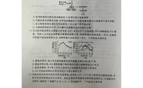 2024届广东省高三三模生物试题_2024年5月_01按日期_18号_2024届衡水金卷高三5月大联考_2024届广东衡水金卷高三5月大联考生物