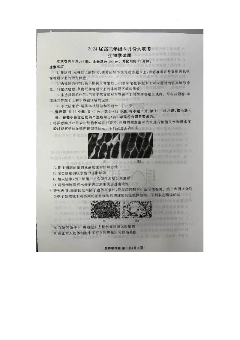 2024届广东省高三三模生物试题_2024年5月_01按日期_18号_2024届衡水金卷高三5月大联考_2024届广东衡水金卷高三5月大联考生物