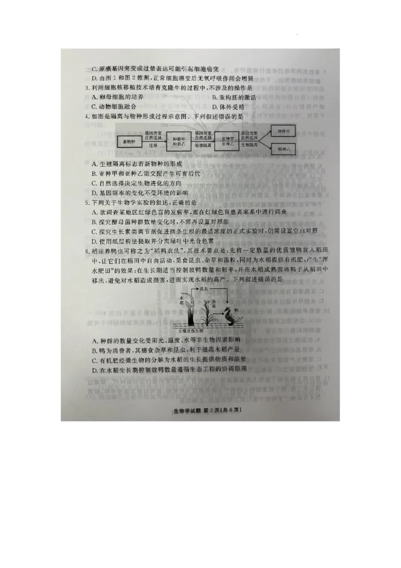 2024届广东省高三三模生物试题_2024年5月_01按日期_18号_2024届衡水金卷高三5月大联考_2024届广东衡水金卷高三5月大联考生物