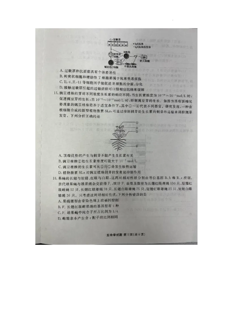 2024届广东省高三三模生物试题_2024年5月_01按日期_18号_2024届衡水金卷高三5月大联考_2024届广东衡水金卷高三5月大联考生物