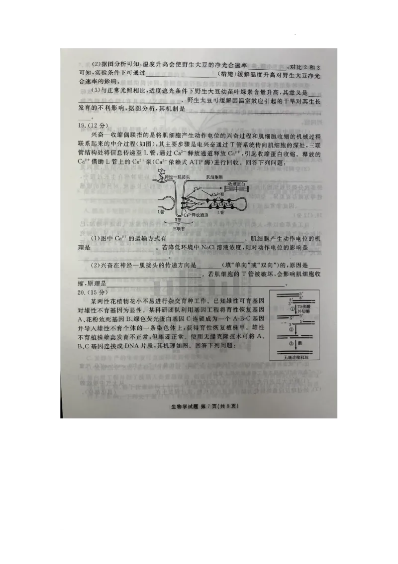 2024届广东省高三三模生物试题_2024年5月_01按日期_18号_2024届衡水金卷高三5月大联考_2024届广东衡水金卷高三5月大联考生物