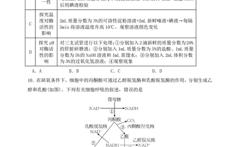 辽宁省沈阳市第一二〇中学2023-2024学年高三上学期第一次质量检测生物试题_2023年8月_01每日更新_24号_2024届辽宁省沈阳市第120中学高三上学期第一次质量检测