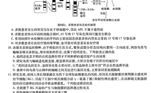 生物试卷_2024年6月(1)_01按日期_01号_2024届重庆市南开中学高三第九次质量检测_重庆市南开中学高2024届高三年级第九次质量检测生物