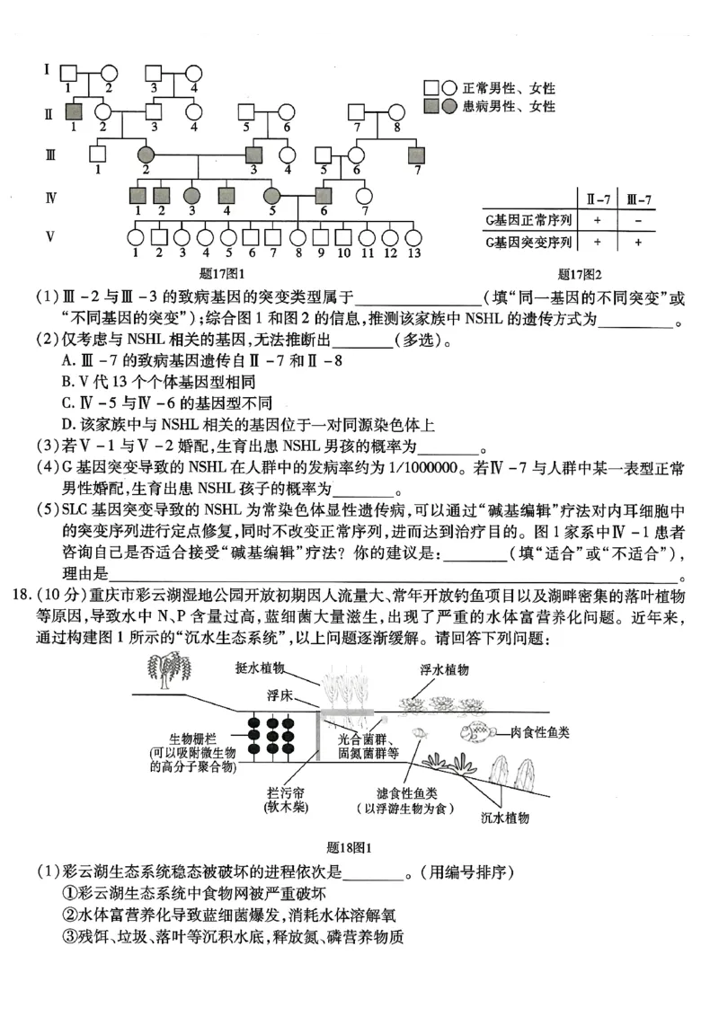 生物试卷_2024年6月(1)_01按日期_01号_2024届重庆市南开中学高三第九次质量检测_重庆市南开中学高2024届高三年级第九次质量检测生物