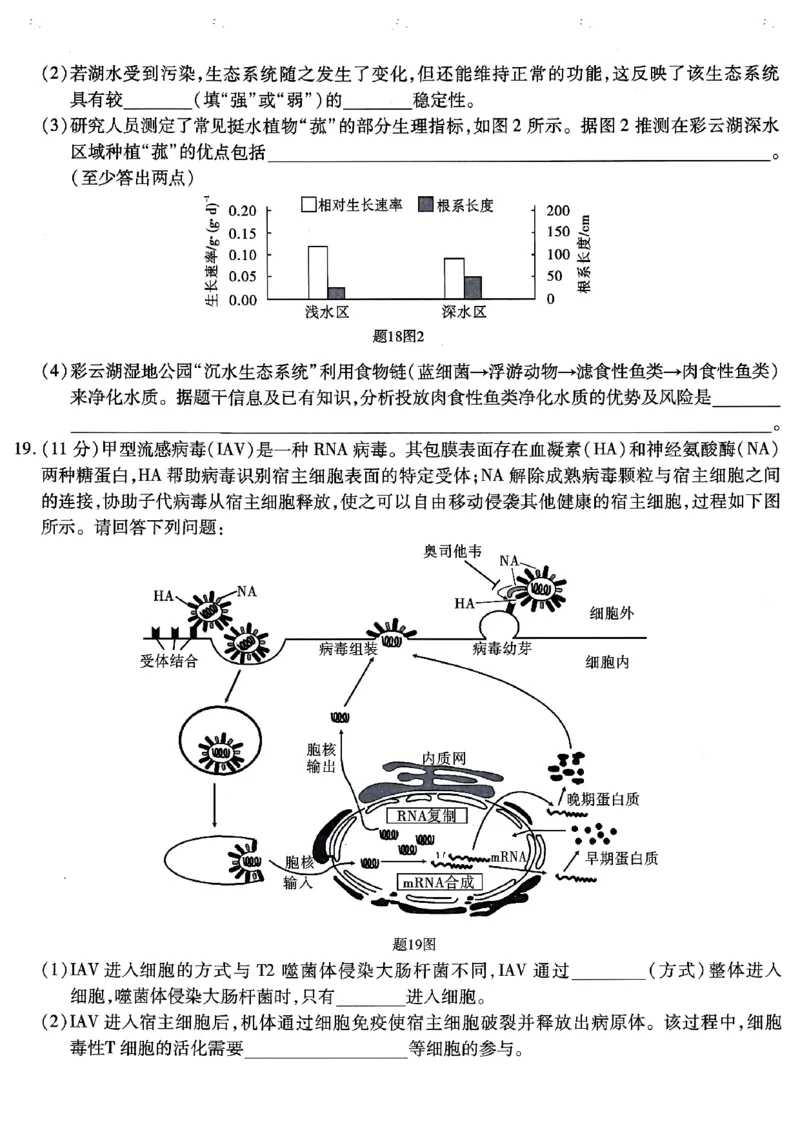 生物试卷_2024年6月(1)_01按日期_01号_2024届重庆市南开中学高三第九次质量检测_重庆市南开中学高2024届高三年级第九次质量检测生物