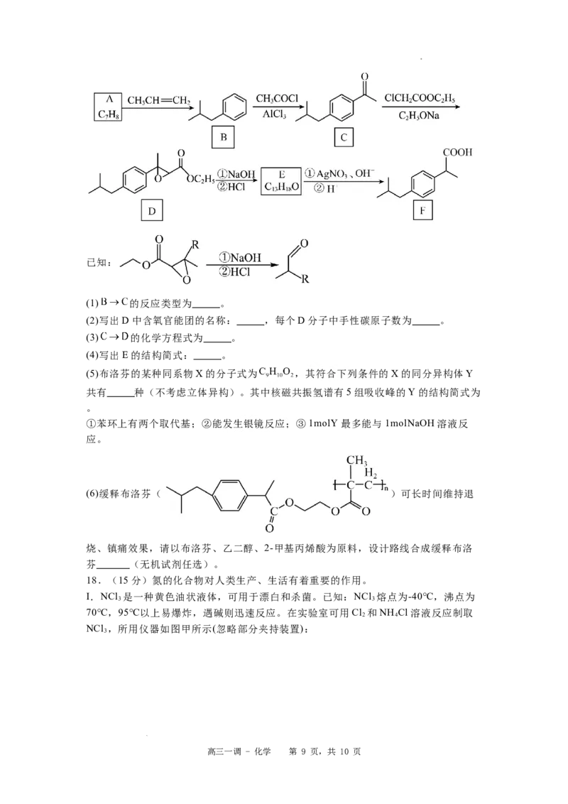 河北省石家庄实验中学2025届高三年级第一次调研考试化学_2025年3月_250313河北省石家庄实验中学2025届高三年级第一次调研考试（全科）
