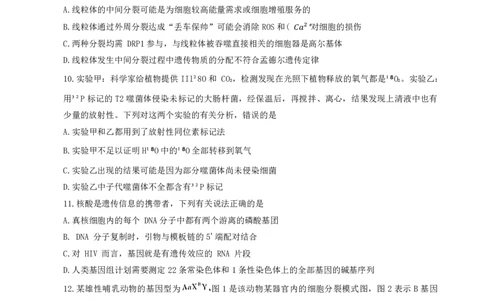 许洛济平生物(1)_2023年10月_0210月合集_2024届河南省平顶山许昌济源洛阳四市高三上学期第一次质量检测_河南省平顶山许昌济源洛阳四市2024届高三上学期第一次质量检测生物