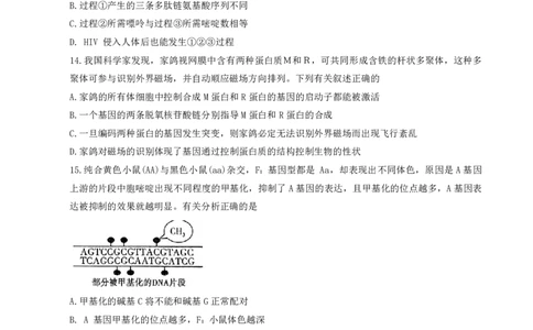 许洛济平生物(1)_2023年10月_0210月合集_2024届河南省平顶山许昌济源洛阳四市高三上学期第一次质量检测_河南省平顶山许昌济源洛阳四市2024届高三上学期第一次质量检测生物