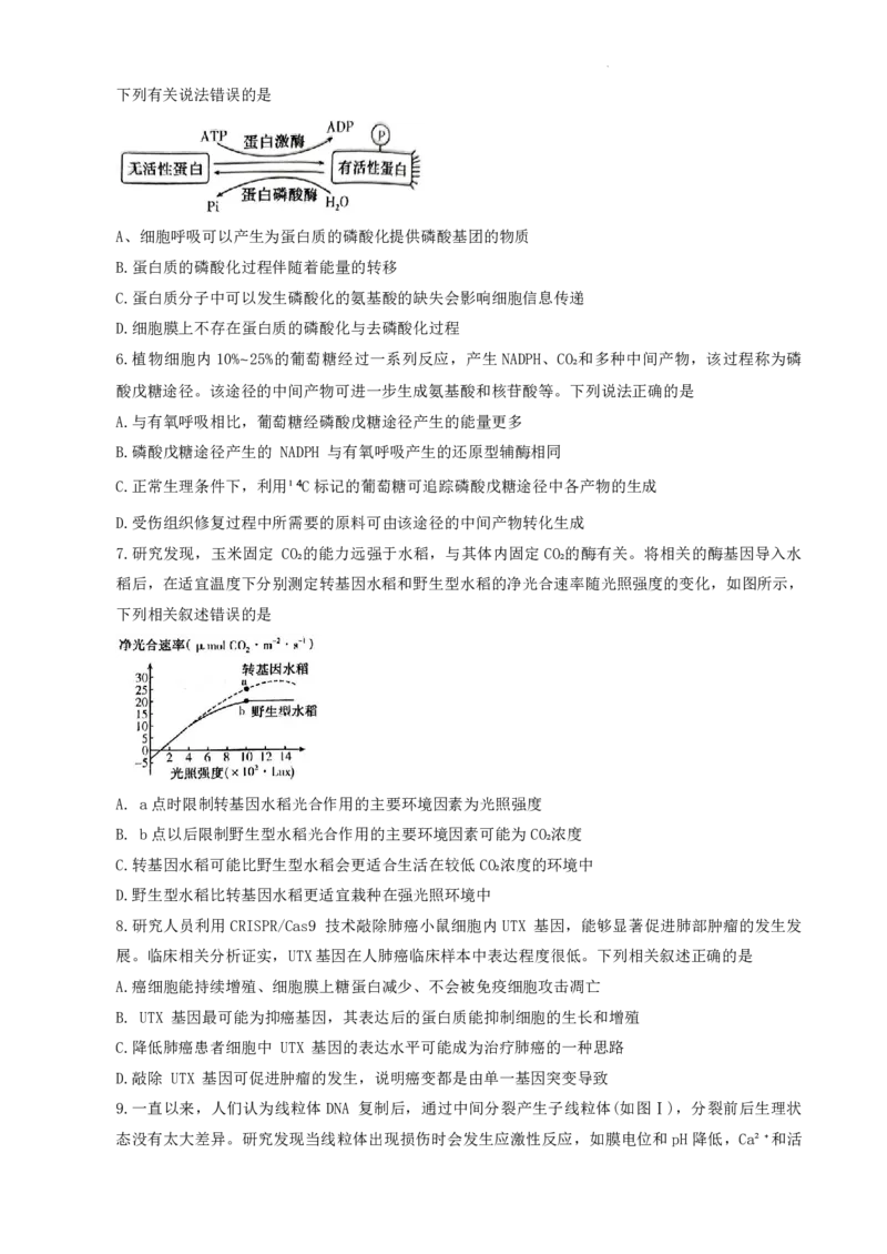 许洛济平生物(1)_2023年10月_0210月合集_2024届河南省平顶山许昌济源洛阳四市高三上学期第一次质量检测_河南省平顶山许昌济源洛阳四市2024届高三上学期第一次质量检测生物