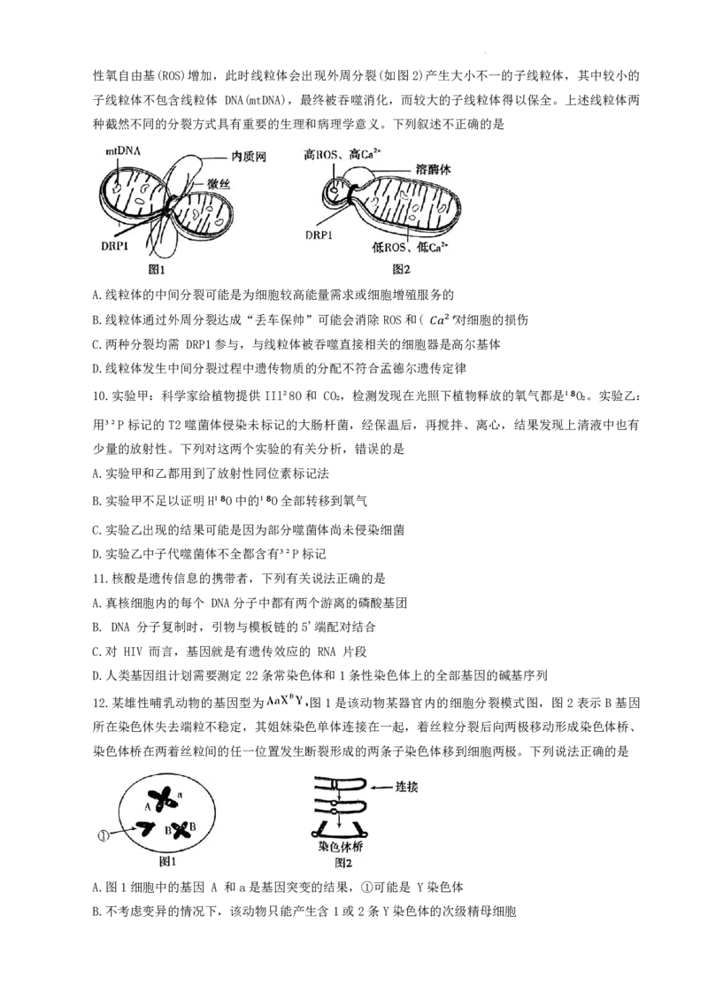 许洛济平生物(1)_2023年10月_0210月合集_2024届河南省平顶山许昌济源洛阳四市高三上学期第一次质量检测_河南省平顶山许昌济源洛阳四市2024届高三上学期第一次质量检测生物