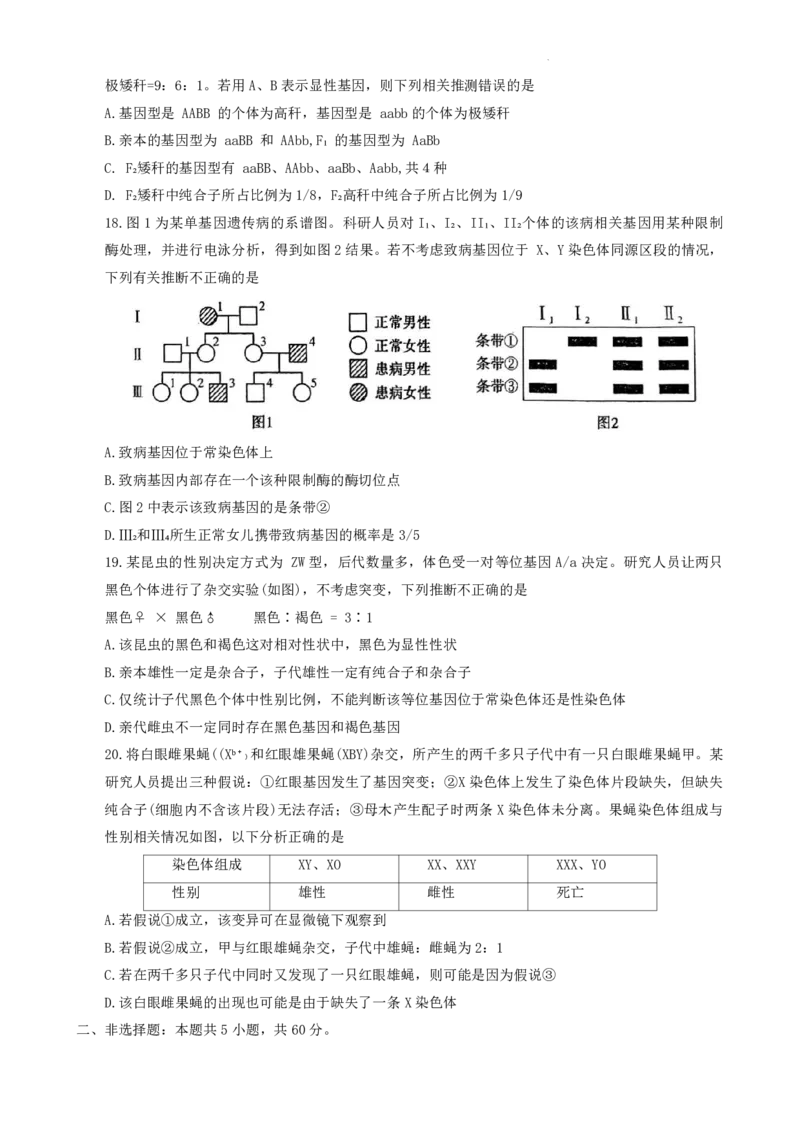 许洛济平生物(1)_2023年10月_0210月合集_2024届河南省平顶山许昌济源洛阳四市高三上学期第一次质量检测_河南省平顶山许昌济源洛阳四市2024届高三上学期第一次质量检测生物