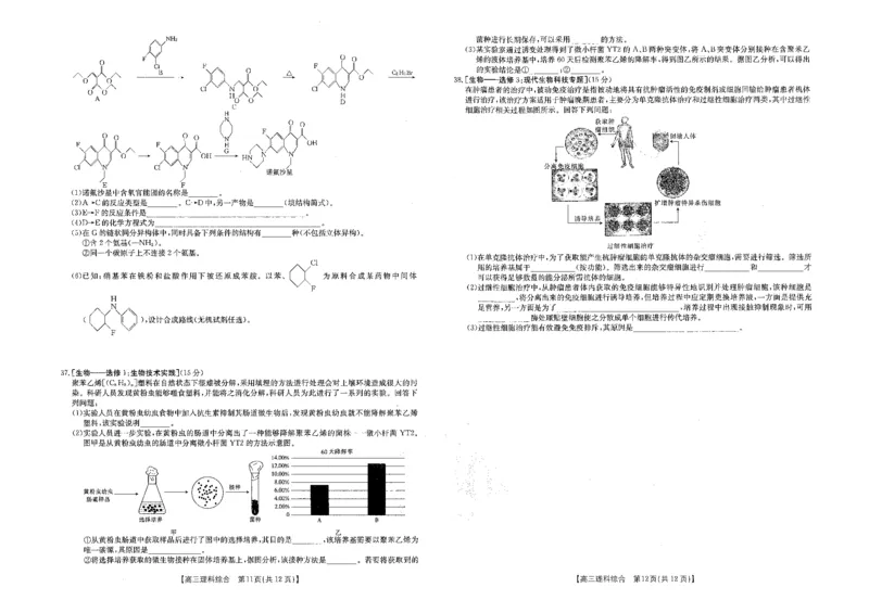 2023江西省高三金太阳3月联考4003C理综(1)_2024年2月_022月合集_2023届江西省高三金太阳3月联考4003C全科