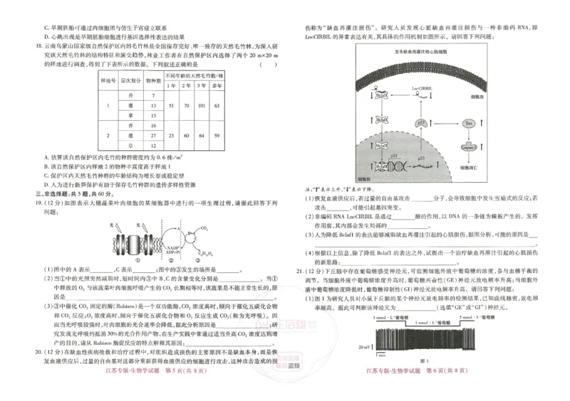 王后雄高考押题预测卷2024江苏专版_2024高考押题卷_22024王hou雄_16王后雄押题_2024年王后雄高考押题预测卷（江苏专版）
