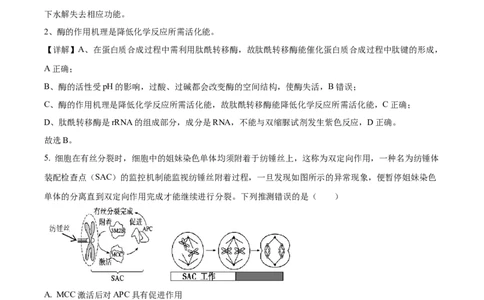 精品解析：贵州省遵义市2023-2024学年高三上学期第一次市质量监测生物试题（解析版）(1)_2023年10月_0210月合集_2024届贵州省遵义市高三上学期第一次市质量监测