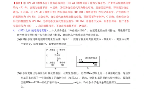 专题09基因的分离定律-五年（2019-2023）高考生物真题分项汇编（全国通用）（解析版）_赠送：2008-2024全套高考真题_高考生物真题_送高考生物五年真题(2019-2023)分项汇编（全国通用）