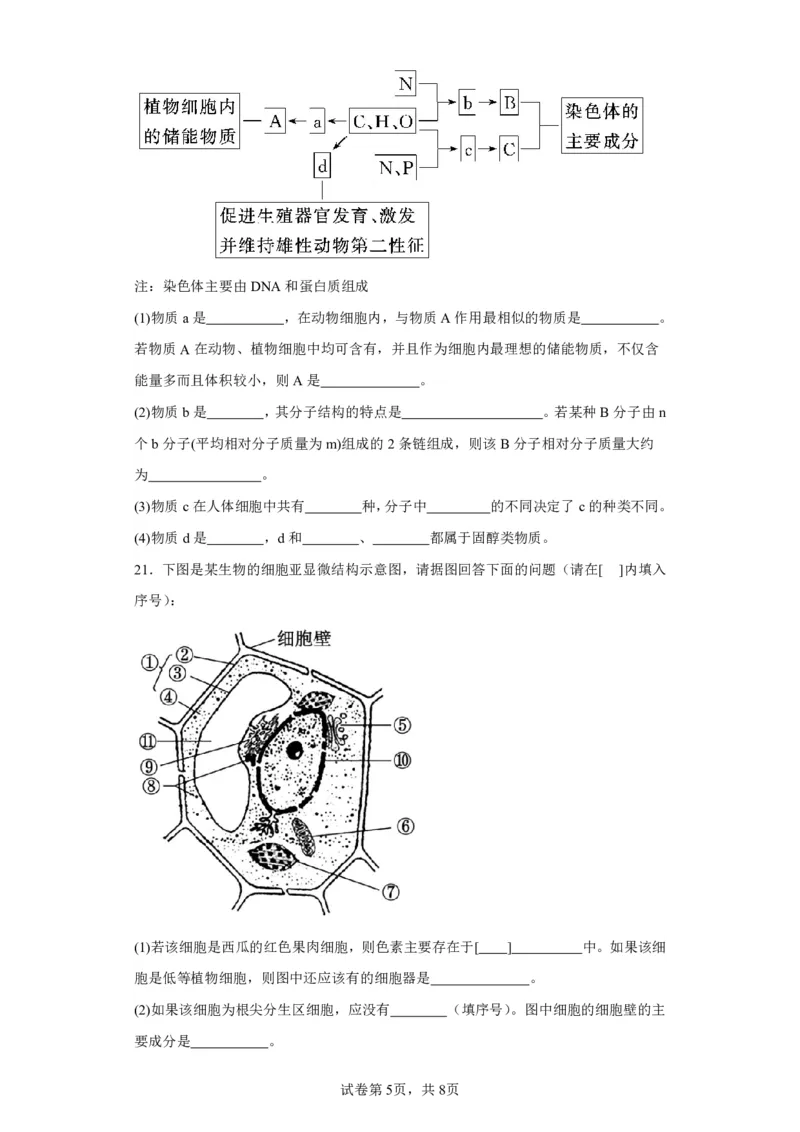 阶段测试一_2023年8月_01每日更新_15号_2024届江苏省连云港市灌南县第二中学高三上学期8月阶段性测试一_江苏省灌南县第二中学2023-2024学年高三上学期阶段性检测一生物试卷