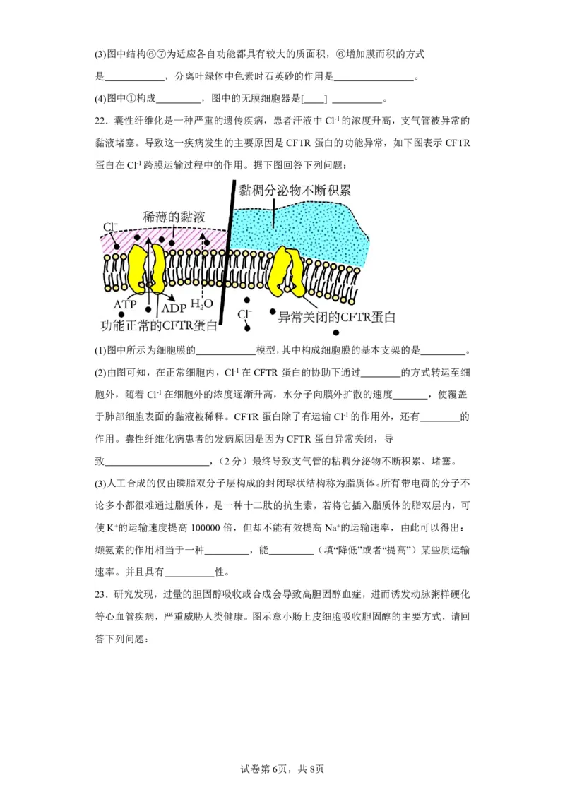 阶段测试一_2023年8月_01每日更新_15号_2024届江苏省连云港市灌南县第二中学高三上学期8月阶段性测试一_江苏省灌南县第二中学2023-2024学年高三上学期阶段性检测一生物试卷