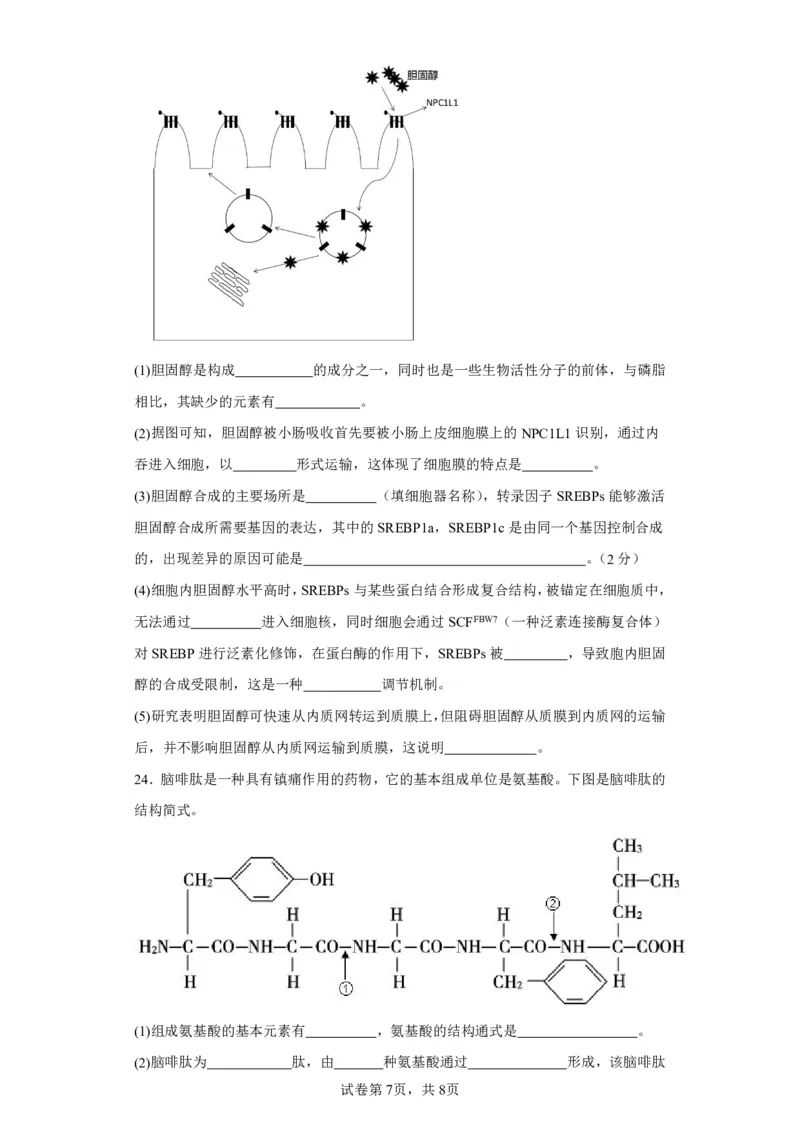 阶段测试一_2023年8月_01每日更新_15号_2024届江苏省连云港市灌南县第二中学高三上学期8月阶段性测试一_江苏省灌南县第二中学2023-2024学年高三上学期阶段性检测一生物试卷