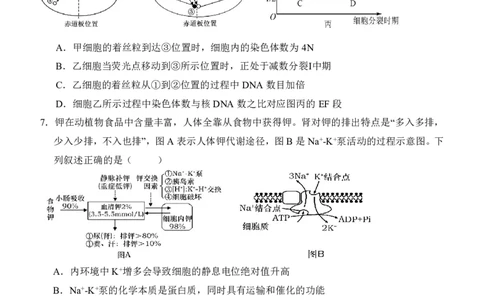 2024届江西师范大学附属中学高三下学期第三次模拟考试生物试卷_2024年5月_01按日期_21号_2024届江西师大附中高三下学期第三次模拟考试