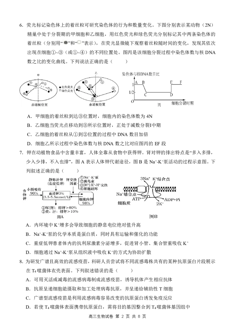 2024届江西师范大学附属中学高三下学期第三次模拟考试生物试卷_2024年5月_01按日期_21号_2024届江西师大附中高三下学期第三次模拟考试