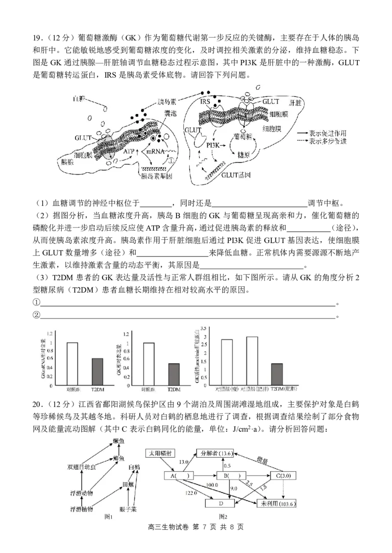 2024届江西师范大学附属中学高三下学期第三次模拟考试生物试卷_2024年5月_01按日期_21号_2024届江西师大附中高三下学期第三次模拟考试