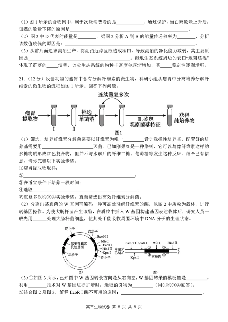 2024届江西师范大学附属中学高三下学期第三次模拟考试生物试卷_2024年5月_01按日期_21号_2024届江西师大附中高三下学期第三次模拟考试