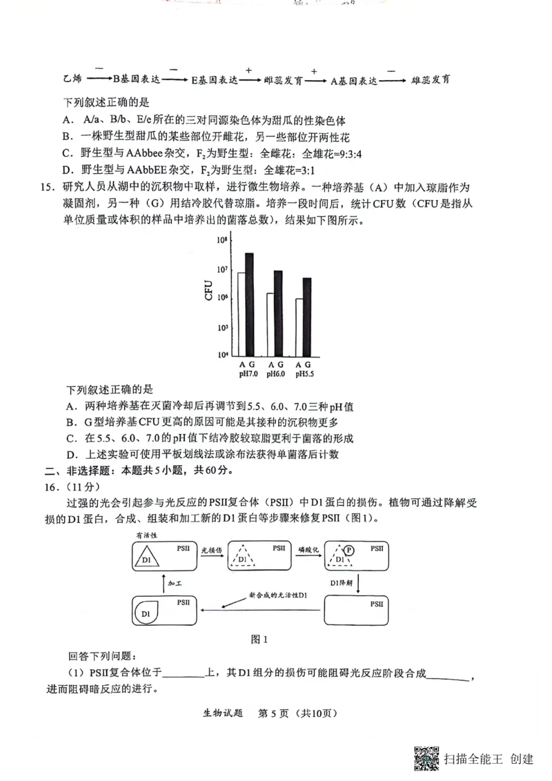 2024届福建省部分地市高中毕业班高三下学期4月诊断性质量检测生物试题_2024年4月_01按日期_10号_2024届福建省九市联考高三4月