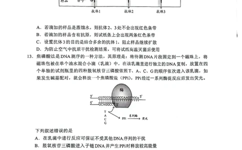 2024届福建省部分地市高中毕业班高三下学期4月诊断性质量检测生物试题_2024年4月_01按日期_10号_2024届福建省九市联考高三4月