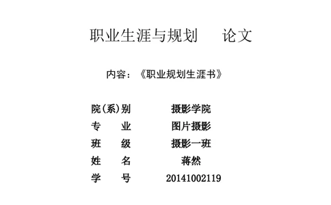 职业生涯规划--图片摄影专业_E6-职业规划_94其他专业