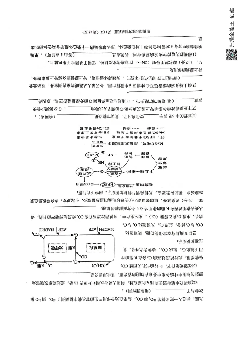 2024届陕西省汉中市高三下学期第二次检测（汉中二模）理综(1)_2024年4月_024月合集_2024届陕西省汉中市高三下学期第二次检测（汉中二模）