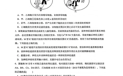 2024届陕西省汉中市高三下学期第二次检测（汉中二模）理综(1)_2024年4月_024月合集_2024届陕西省汉中市高三下学期第二次检测（汉中二模）